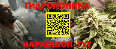 гидра Комсомольск-на-Амуре