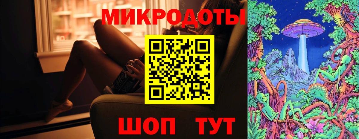 Галлюциногенные грибы Psilocybe Сертолово