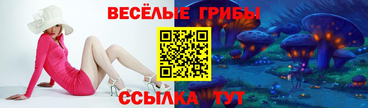 Псилоцибиновые грибы Cubensis  Псилоцибиновые грибы мухоморы  Вход с VPN  Сертолово 